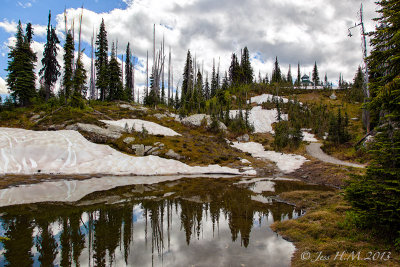 Snow in July Mt Revelstoke