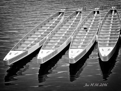 Dragon Boats in B&W