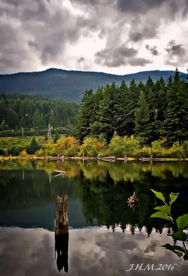 Westwood Lake reflections