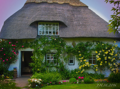 A cottage garden in Kent.