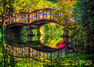 Bridge Reflection in Dreams