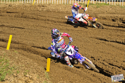 Barcia & Musquin