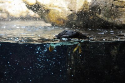 DSC_2062.jpg
