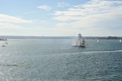 DSC_2225.jpg