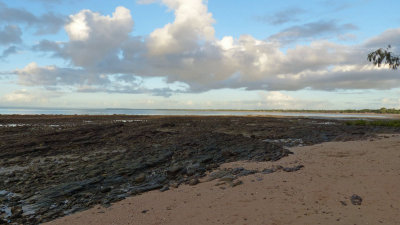 beach low tide