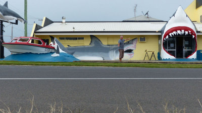 tony & shark exhibit