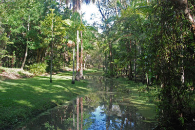 stream in Botanic Gardens