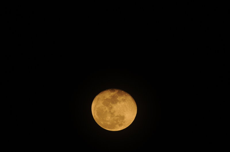 Blood Moon