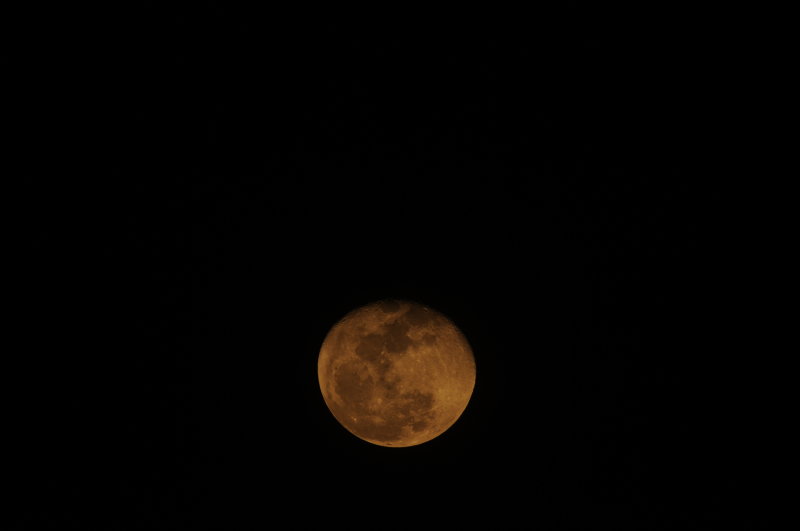 Blood Moon