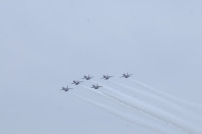 _DSC1856.JPG