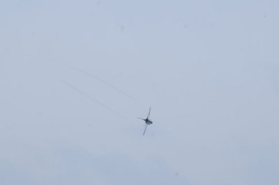 _DSC1984.JPG