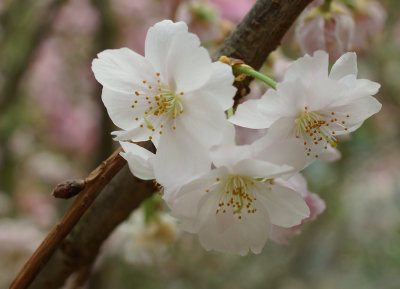 DSC04405.jpg