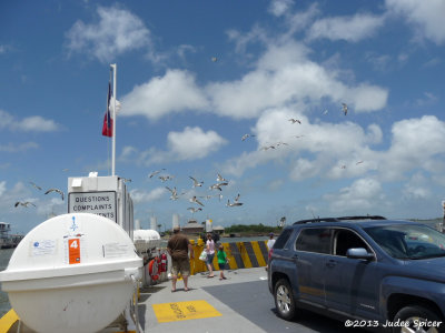 g9/85/847685/3/151178190.s9gpinhX.jpg