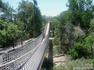 Canopy Trail