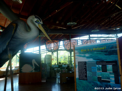 P1090697.jpg