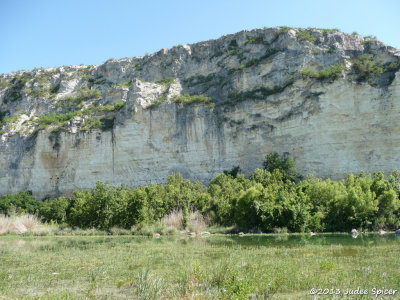 P1090732.jpg