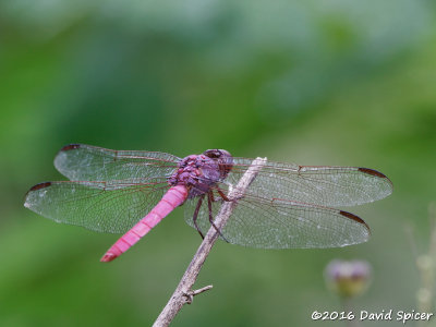 5D3_4192.jpg