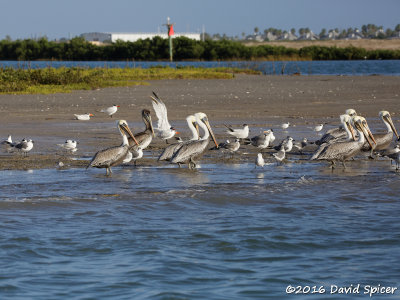 5D3_4537.jpg