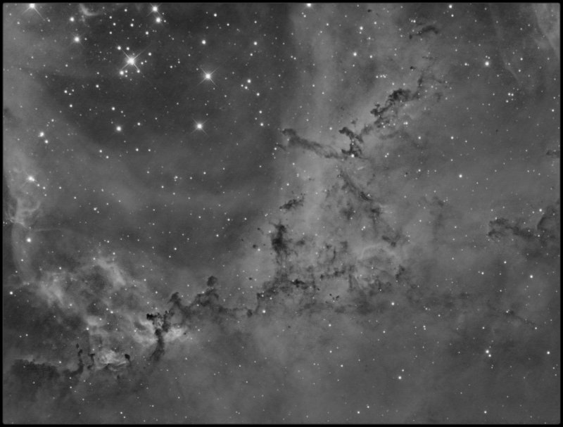 The leaping Puma in the Rosette nebula - Ha only