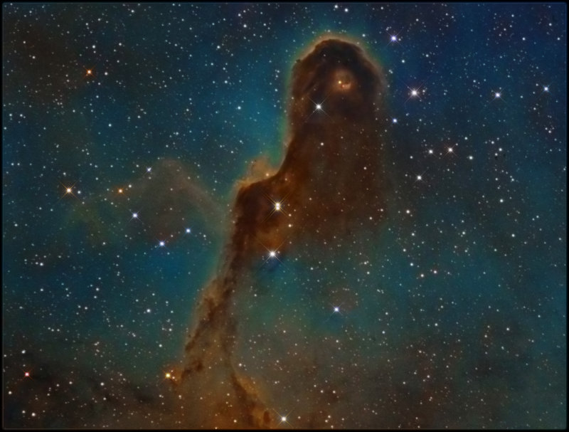 The Elephants Trunk