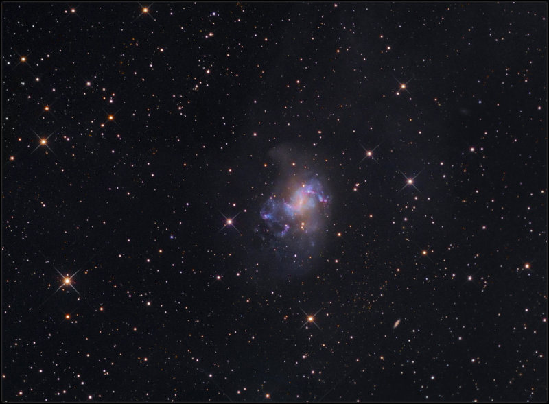 NGC 1313