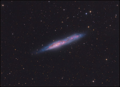 NGC 55  Galaxy