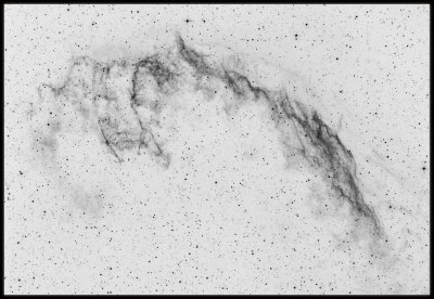 Eastern Veil nebula - Inverted Hydrogen Alpha 