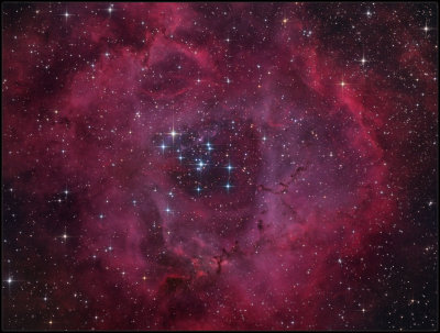 The Rosette nebula 