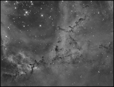 The leaping Puma in the Rosette nebula - Ha only