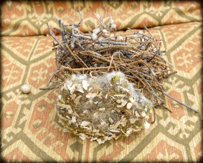 Another View of Nest Tube Material