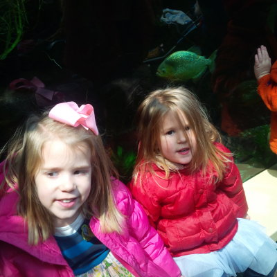 IMG_20150328_131413.jpg