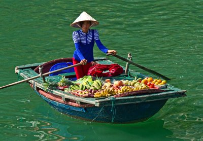 The Fruit Seller