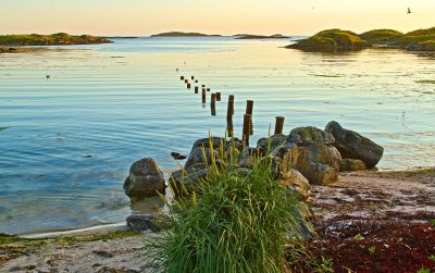 Andenes, Nordland