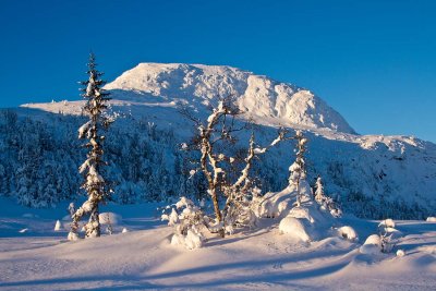 Norefjell in winter