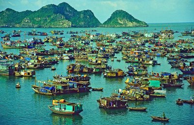 The Bay of Cat Ba town