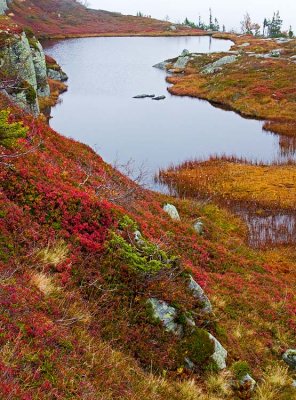 Eggedal, Buskerud