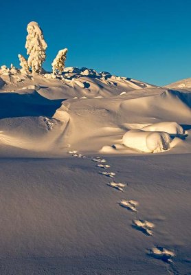 Winter at Norefjell