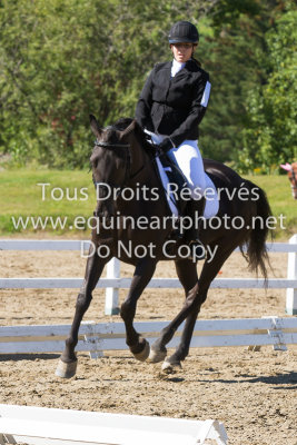 Entrainement Adulte