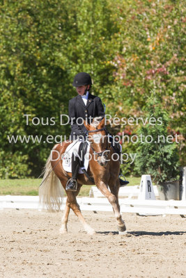 Niveau 1 Poney Junior