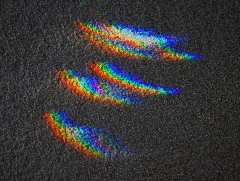 Rainbows Swimming Through The Darkness