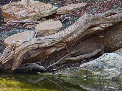 Wood, Rock And Water