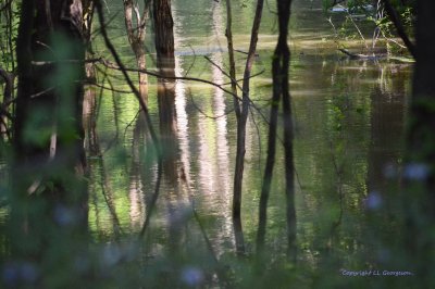 Hidden Reflections