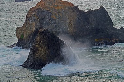 Along The Northern Californian Coast