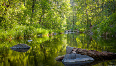 Oak Creek near Cave Springs