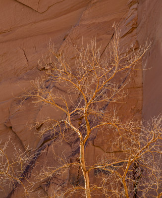 Canyon de Chelly