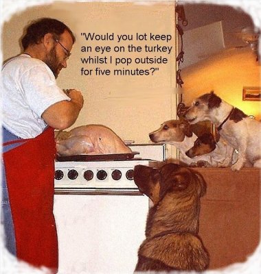 Our Christmas card for 2002. An unmodified photo: the dogs really thought for a moment that they were going to get the turkey!