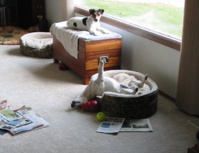 Zaphod demonstrates how to relax in bed