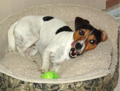 Evelyn Beeblebrox, ball girl, like father, like daughter
