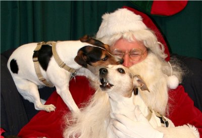 2005 - Santa shows up at the veterinary clinic..... Zaphod and Evelyn cannot believe it!