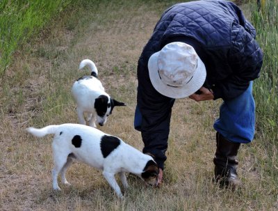 Grasshopper season - Bob helps Evelyn July 5th 2015